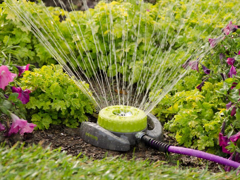 Make Your Garden Green with Irrigation Pumps 
