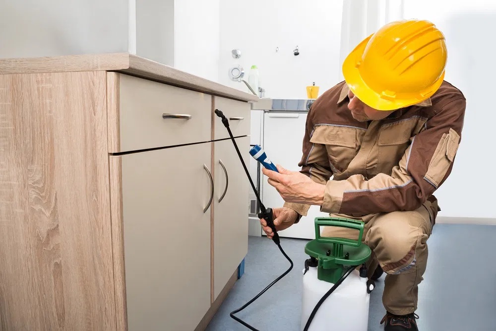 Advantages of hiring a pest control service for companies
