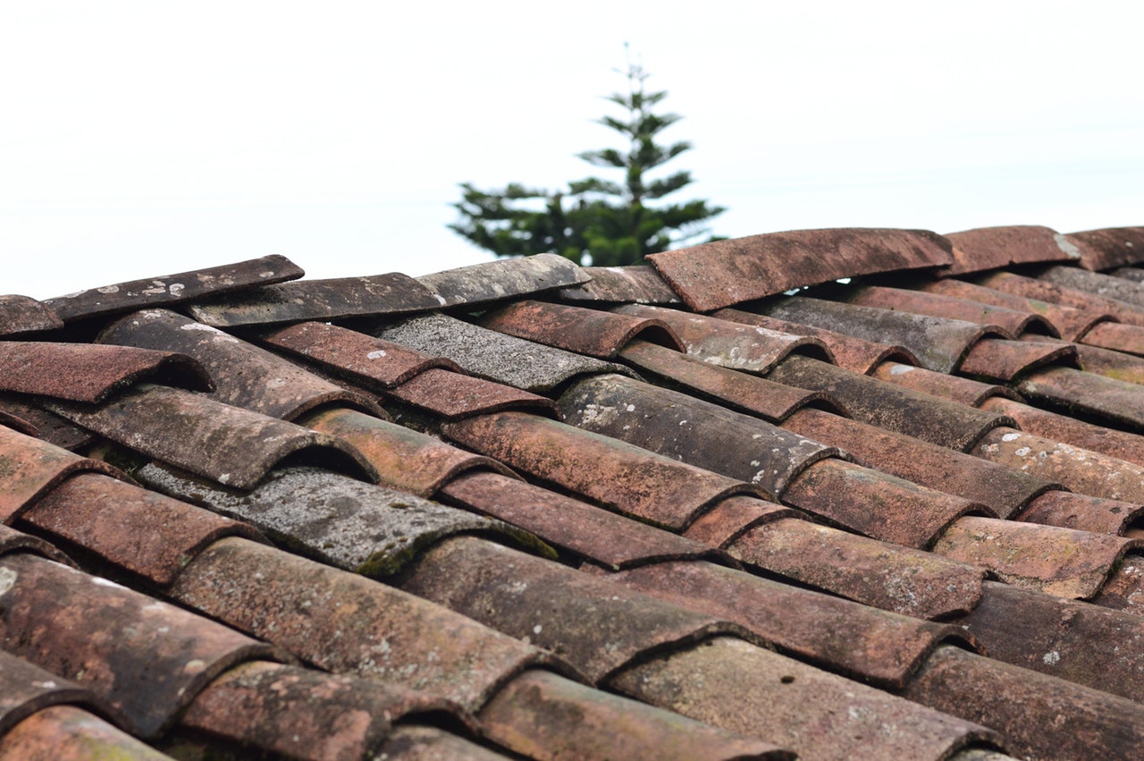 What Causes Roof Damage?