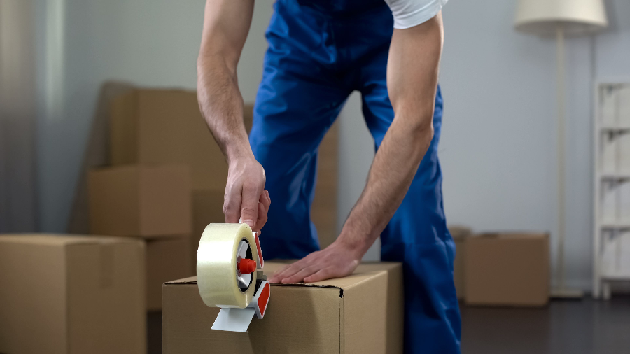 Services Provided by a Sydney to Melbourne Removalist