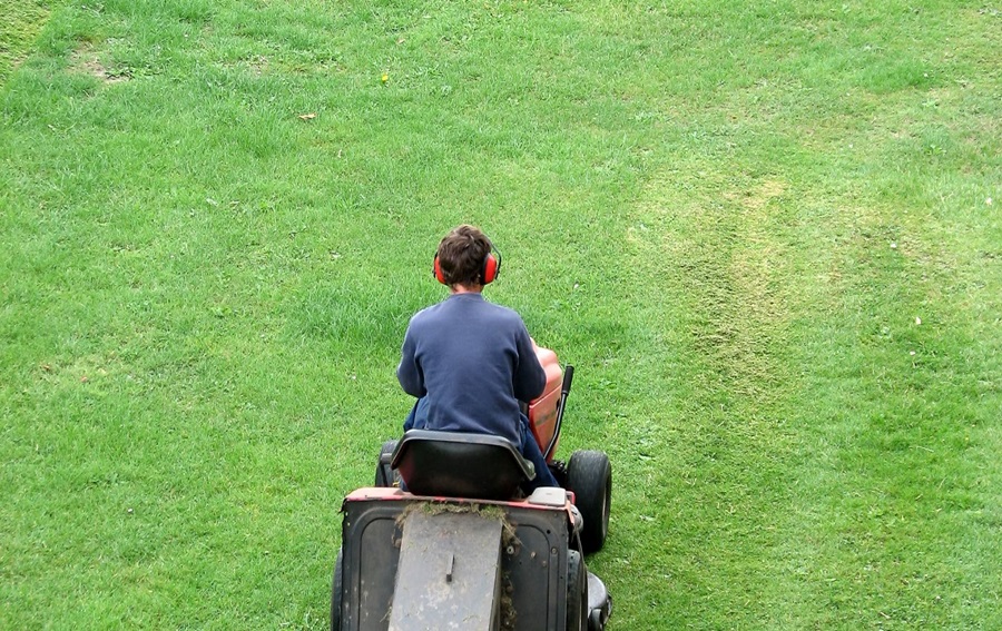 When Should You Not Mow Your Lawn?