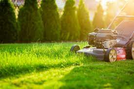 Choosing a Lawn Care Company