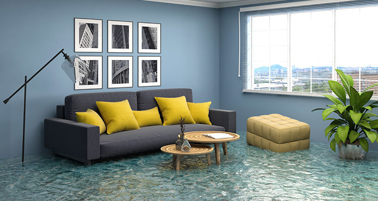 How to Choose a Water Damage Company