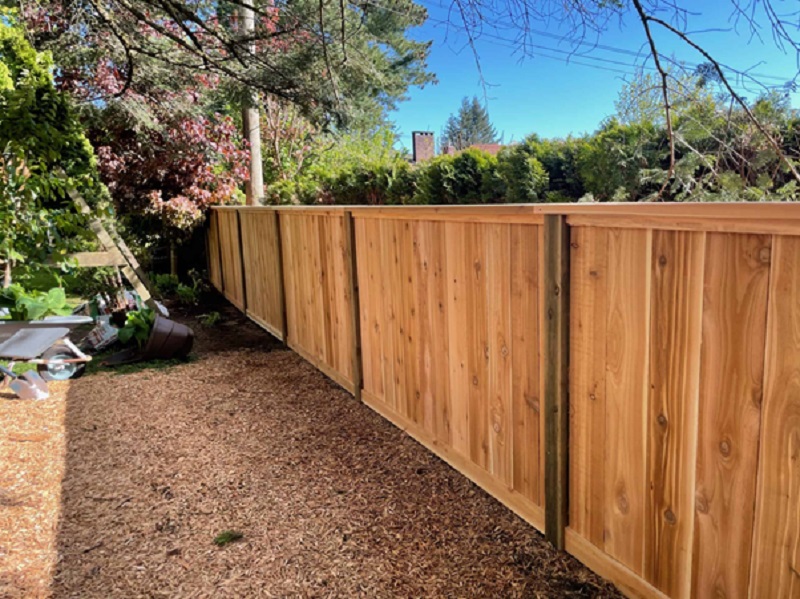 Types of Fences North Shore: What’s the Best Option for You?