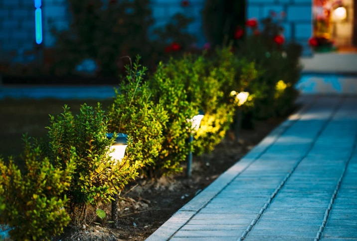 Ways to Use Solar Lights to Brighten Up Your Garden