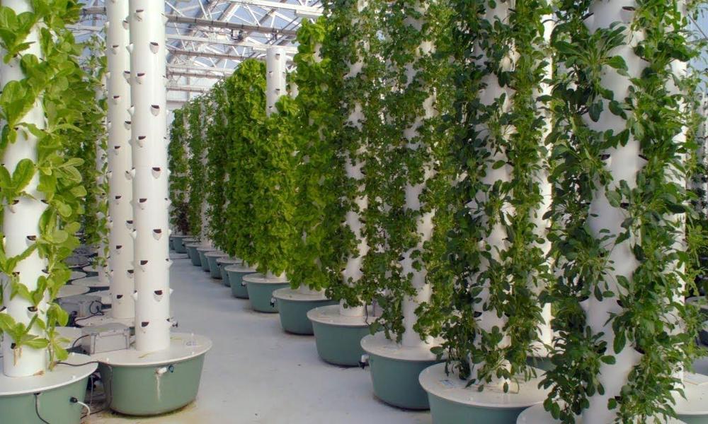 How To Install The Aeroponic Garden Tower?